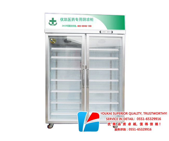 雙門(mén)藥品陰涼箱